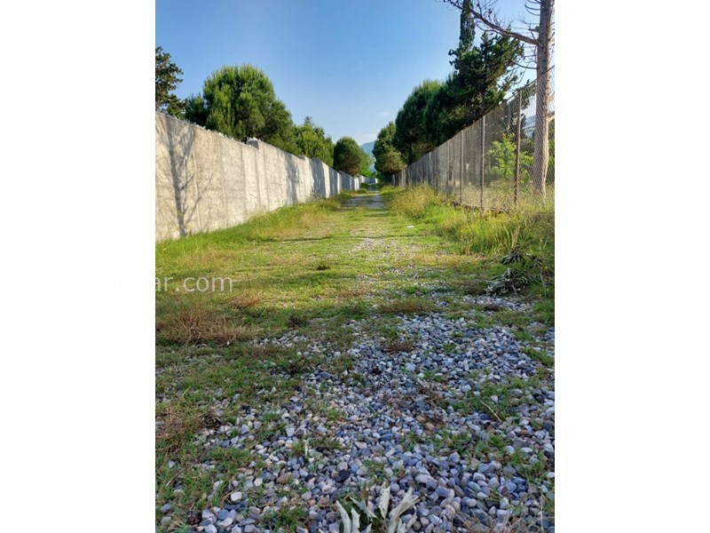 عکس شماره 867629 - اجاره ویلا ساحلی در رامسر - 