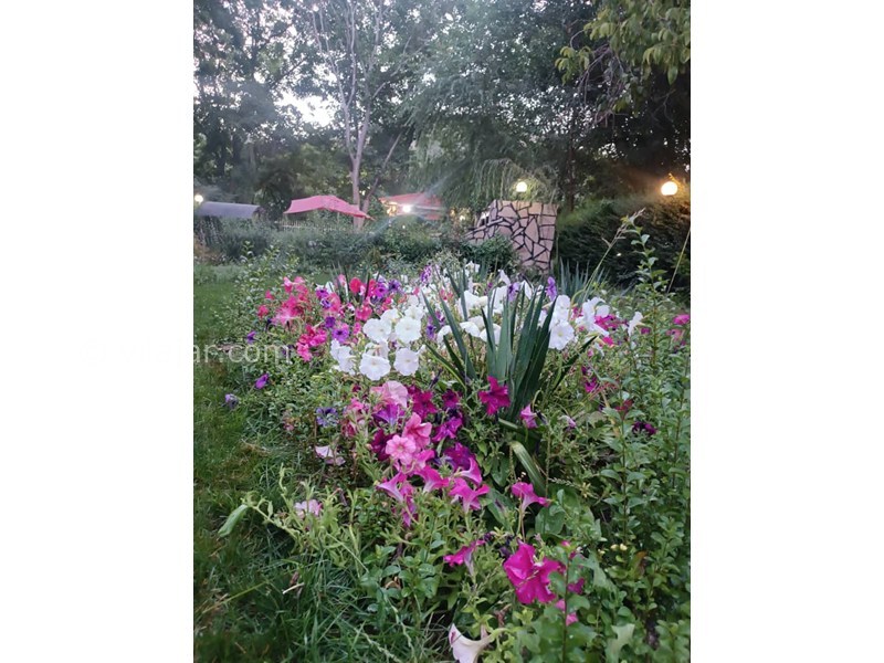 عکس شماره 867985 - اجاره ویلا باغ در سامان لب رودخانه - 