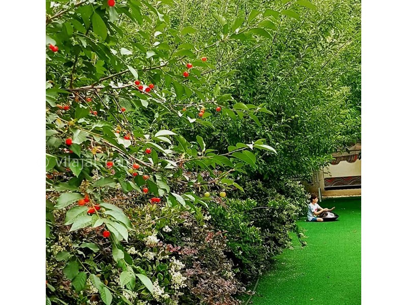 عکس شماره 868049 - ویلا با استخر آبگرم نزدیک کردان - 