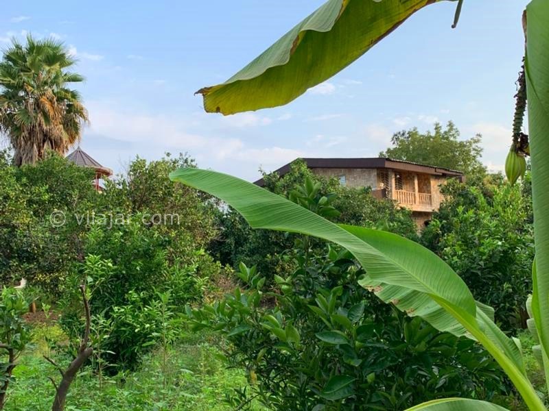 عکس شماره 868189 - اجاره ویلا باغ استخردار جنگلی نوشهر - 