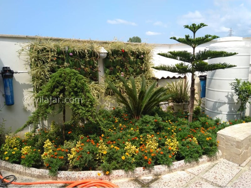 عکس شماره 868295 - ویلا با استخر و جکوزی محمودآباد - 