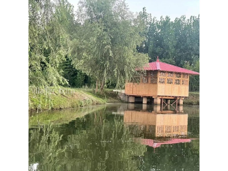 عکس شماره 868390 - اجاره ویلا صومعه سرا با ویوی دریاچه - 