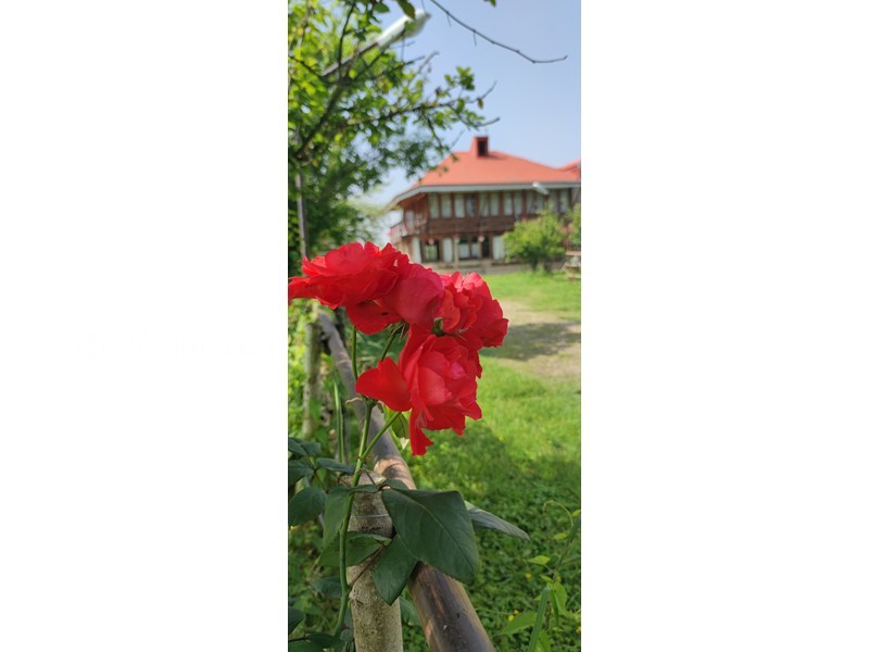 عکس شماره 868392 - اجاره ویلا صومعه سرا با ویوی دریاچه - 