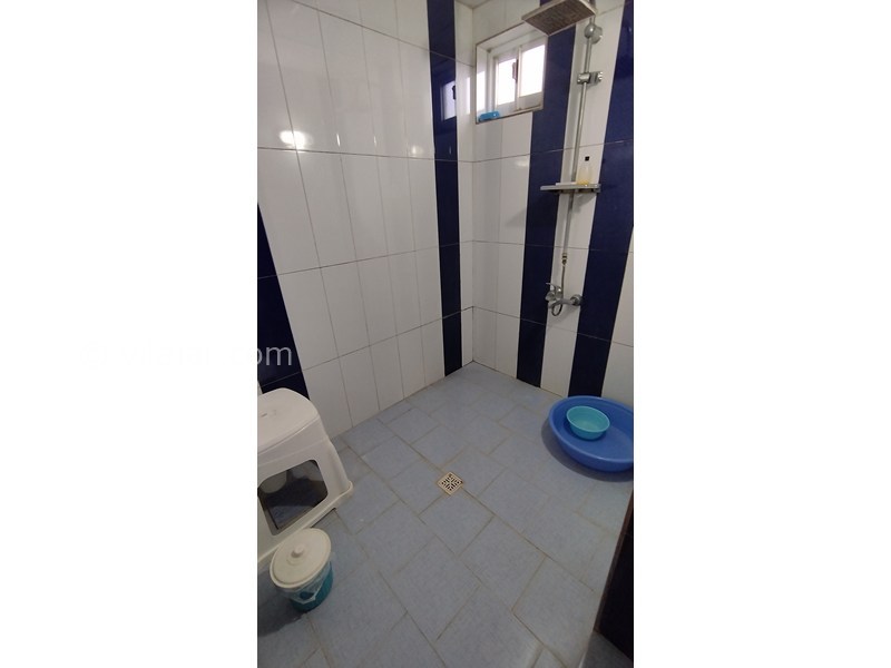 عکس شماره 868806 - اقامتگاه در رامسر جنگل دالخانی -
