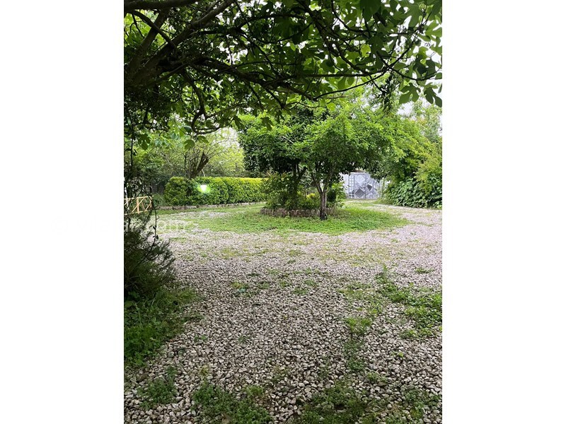 عکس شماره 868988 - ویلای جنگلی دربست در تالش - نمایی از باغ