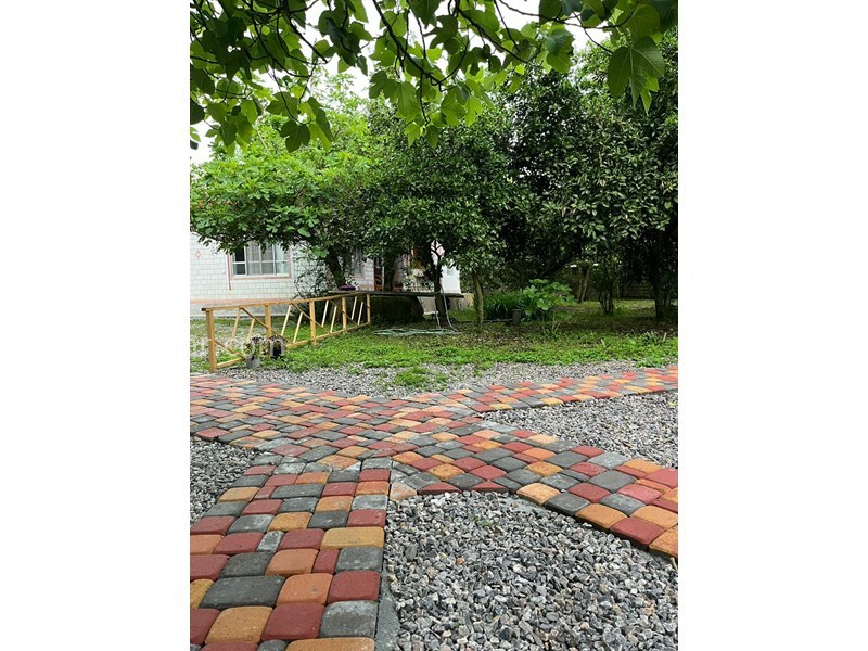 عکس شماره 868992 - ویلای جنگلی دربست در تالش -