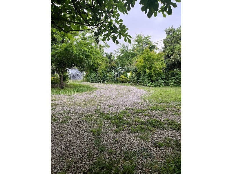 عکس شماره 868993 - ویلای جنگلی دربست در تالش -