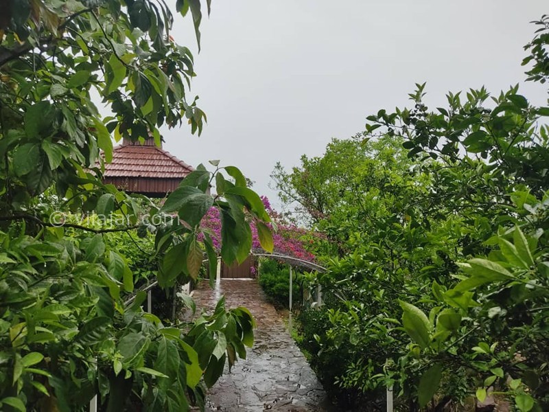 عکس شماره 869129 - اجاره ویلا لب دریا در نوشهر - 