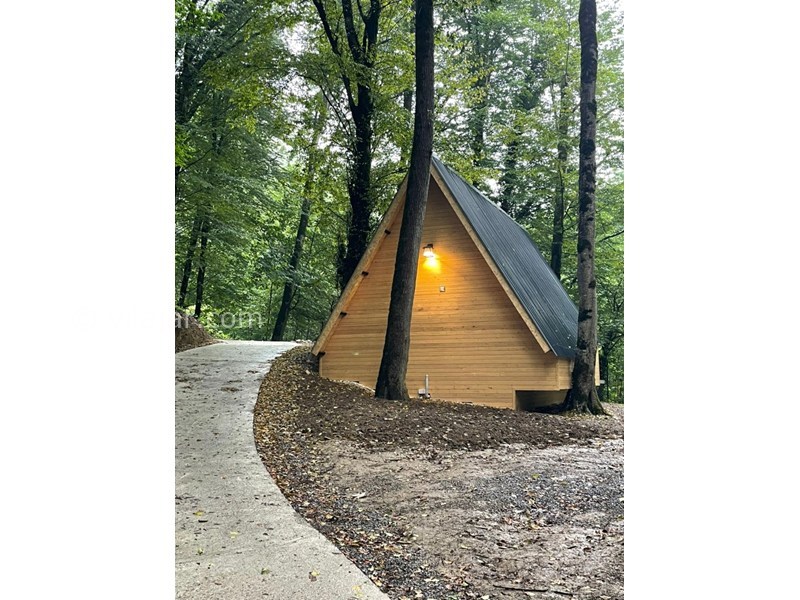 عکس شماره 869447 - اجاره کلبه چوبی جنگلی در رویان - 