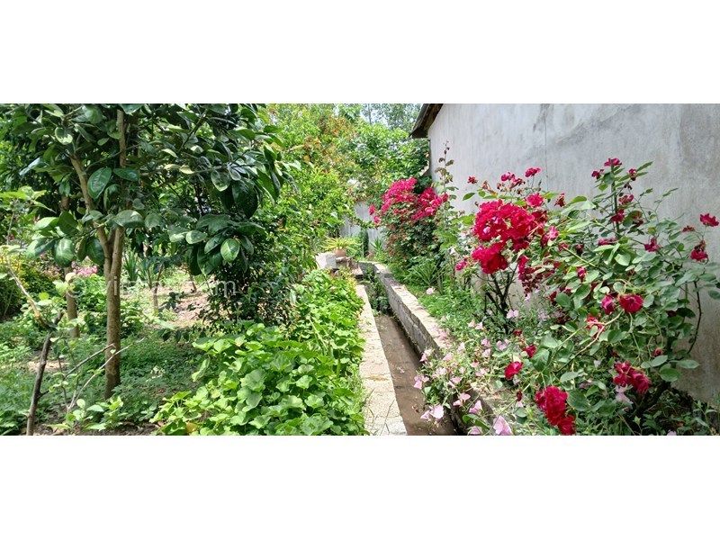 عکس شماره 869463 - اجاره ویلا در خمام گیلان - نهر آب کنار حیاط