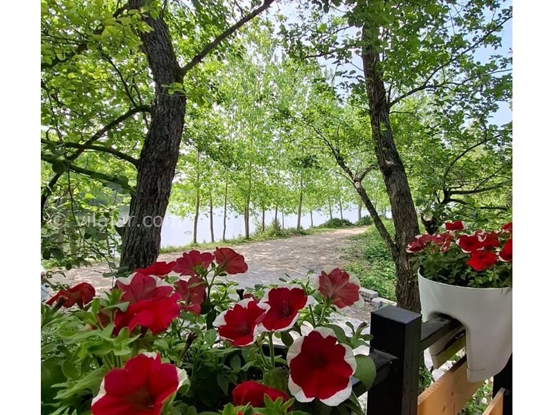 عکس شماره 869710 - کلبه سوئیسی چوبی نزدیک نور لاویج - 