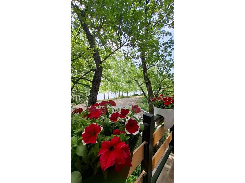 عکس شماره 869723 - کلبه سوئیسی چوبی نزدیک نور لاویج - 