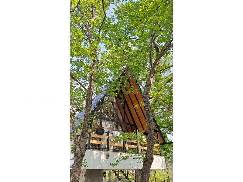 عکس شماره 869727 - کلبه سوئیسی چوبی نزدیک نور لاویج - 