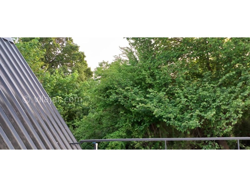 عکس شماره 869829 - اجاره کلبه چوبی جنگلی نور استخردار - 