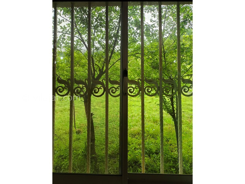 عکس شماره 870989 - اجاره اقامتگاه در ماسال - چشم انداز پنجره هال رو به جنگل پشت