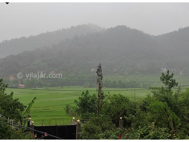 عکس شماره 870994 - اجاره اقامتگاه در ماسال - 