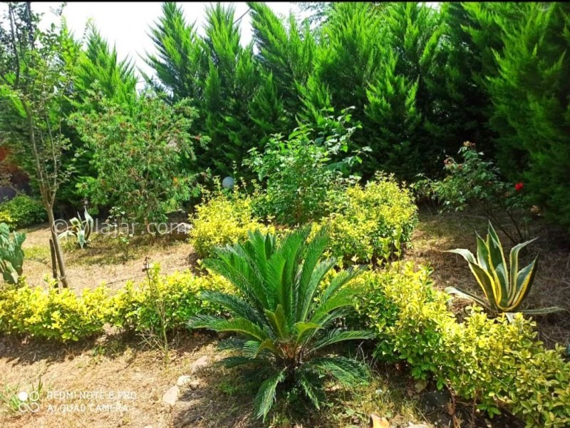 عکس شماره 871274 - ویلا چوبی در وشمه سرا ماسال - 