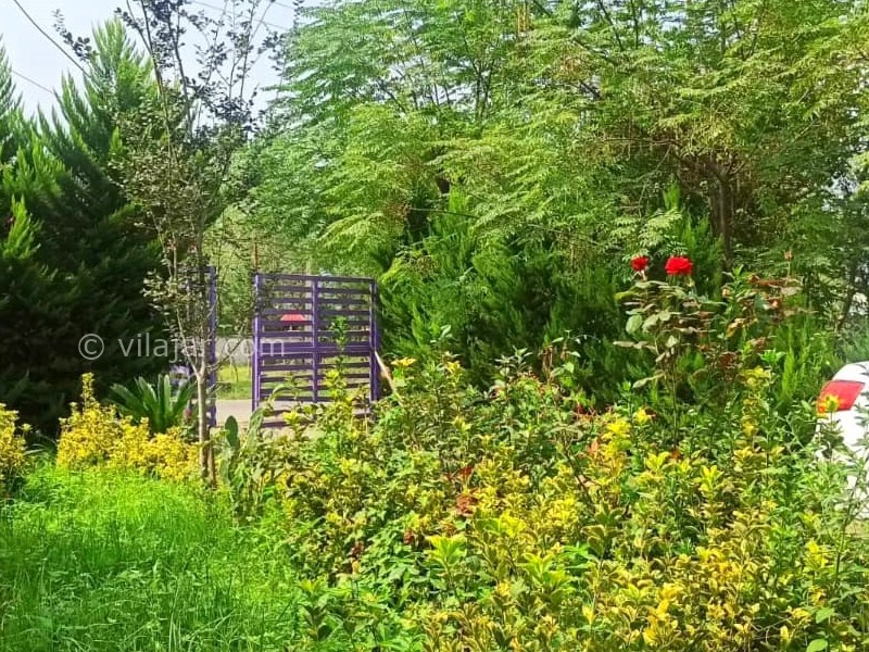 عکس شماره 871285 - ویلا چوبی در وشمه سرا ماسال - 