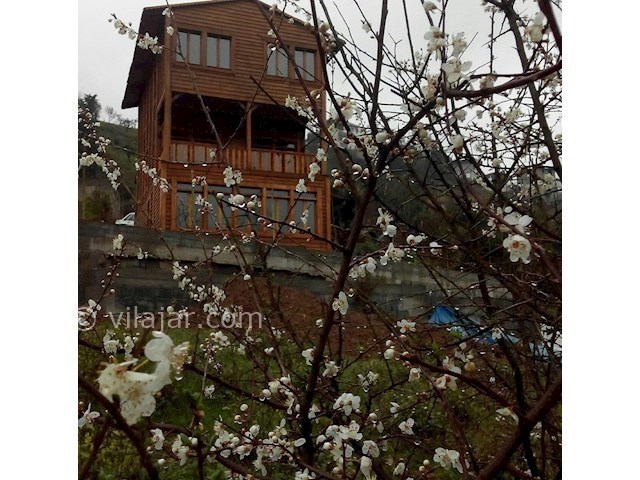 عکس شماره 87219 - اجاره کلبه چوبی جنگلی رامسر - 