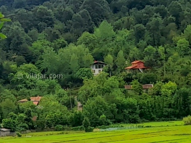 عکس شماره 872346 - اجاره ویلا چوبی در ماسال - 