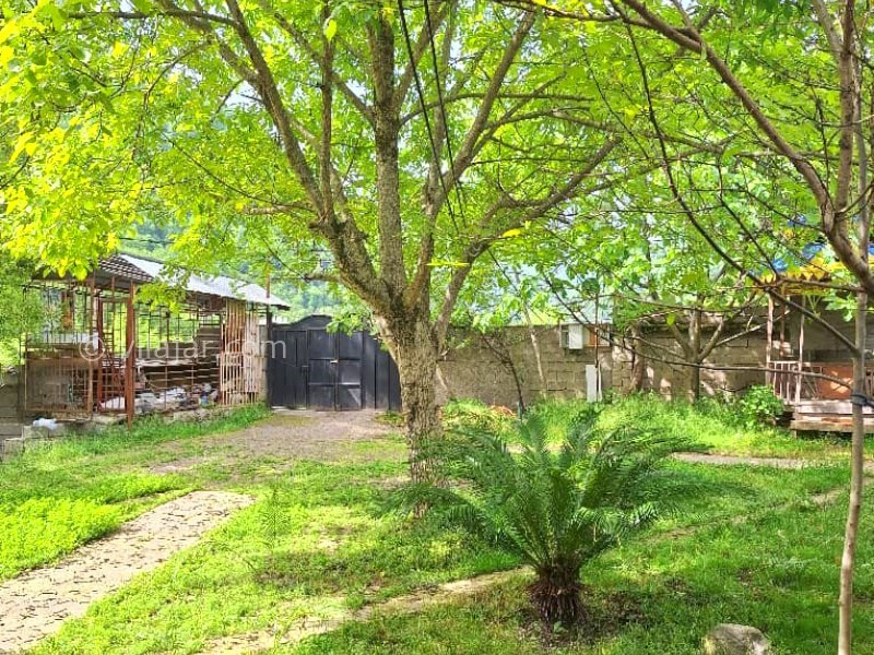 عکس شماره 872390 - ویلا باغ گل مریم در ماسال -