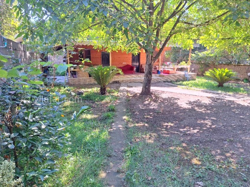 عکس شماره 872418 - ویلا باغ گل مریم در ماسال -