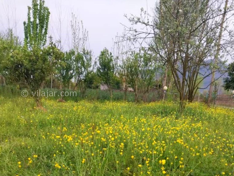 عکس شماره 872700 - اجاره ویلا در ماسال - 