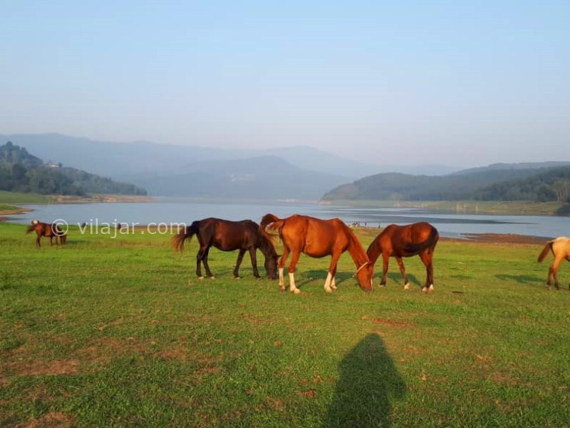 عکس شماره 872835 - اجاره ویلا در لفور سوادکوه - 