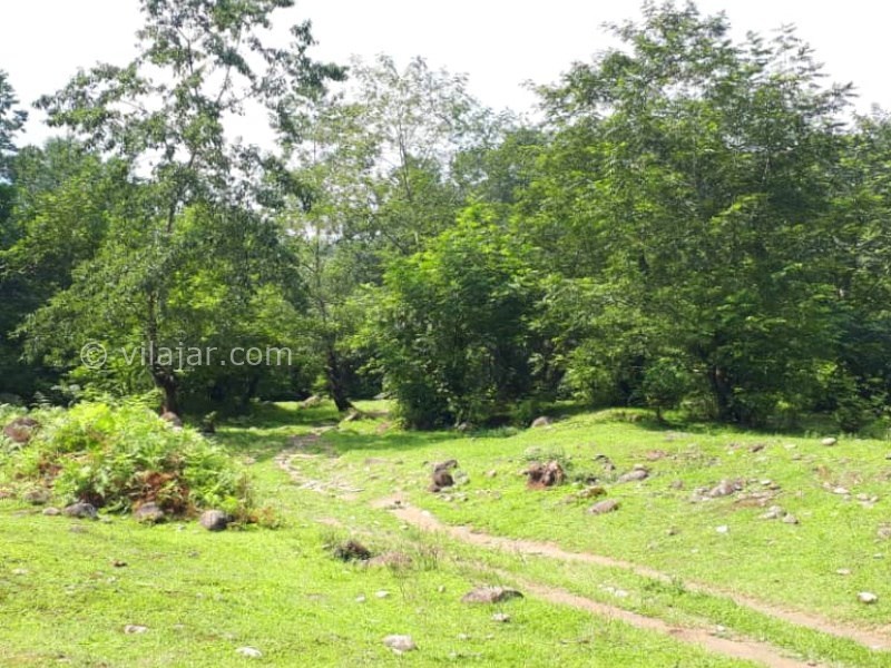 عکس شماره 872838 - اجاره ویلا در لفور سوادکوه - 