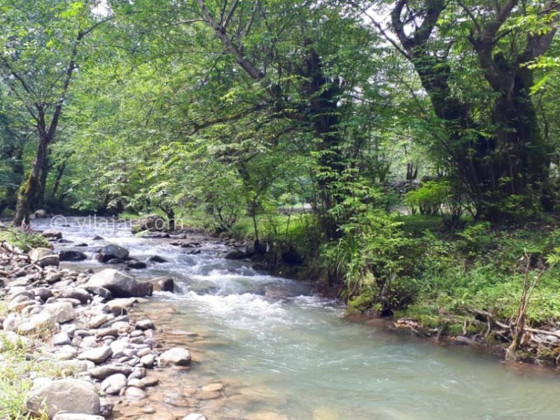 عکس شماره 872839 - اجاره ویلا در لفور سوادکوه - 