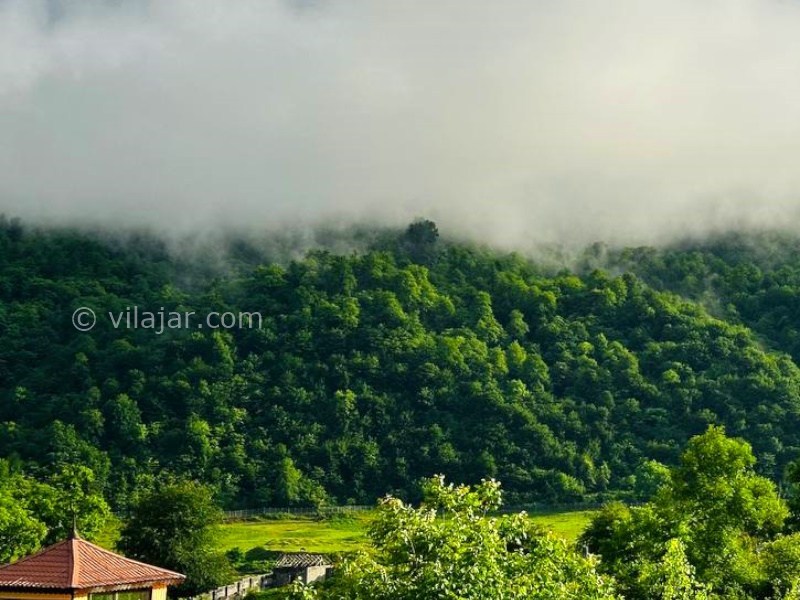 عکس شماره 872840 - اجاره ویلا در لفور سوادکوه - 