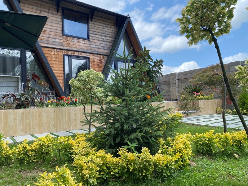 عکس شماره 873065 - رزرو کلبه چوبی سوییسی در ماسال - 