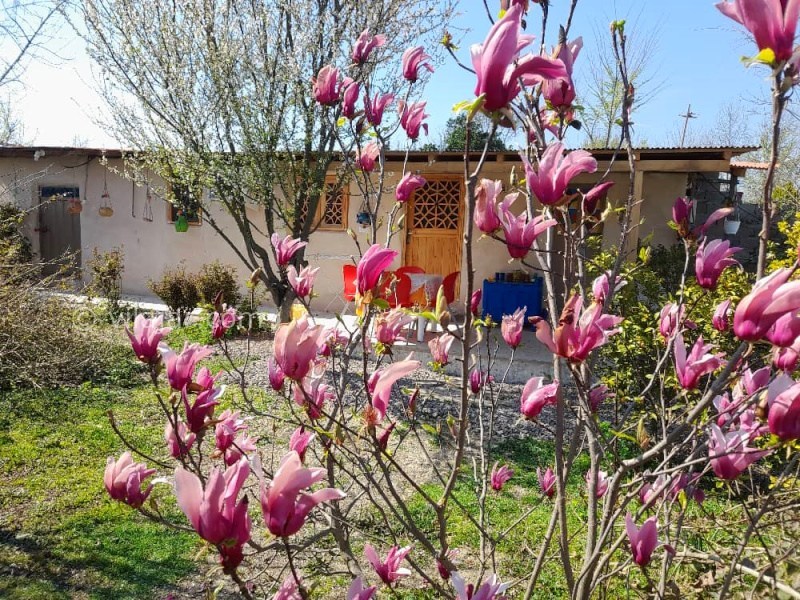 عکس شماره 873255 - اجاره خانه سنتی نزدیک فومن - 