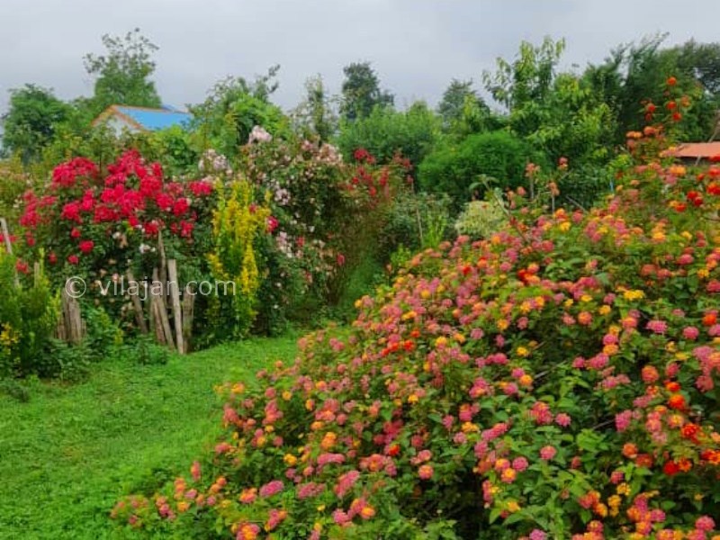 عکس شماره 873281 - اجاره خانه سنتی نزدیک فومن - 