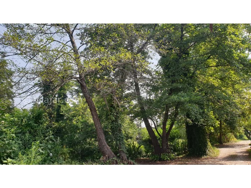 عکس شماره 873321 - اجاره ویلا در متل قو ساحلی -