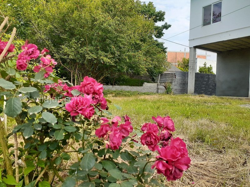 عکس شماره 873338 - رزرو خانه ویلایی نزدیک نور - 