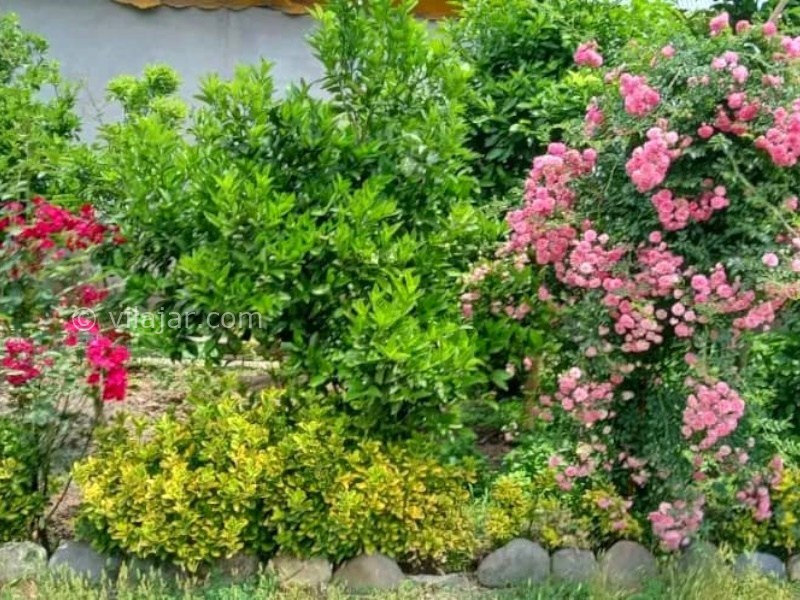 عکس شماره 873659 - اجاره ویلا در خمام گیلان - 