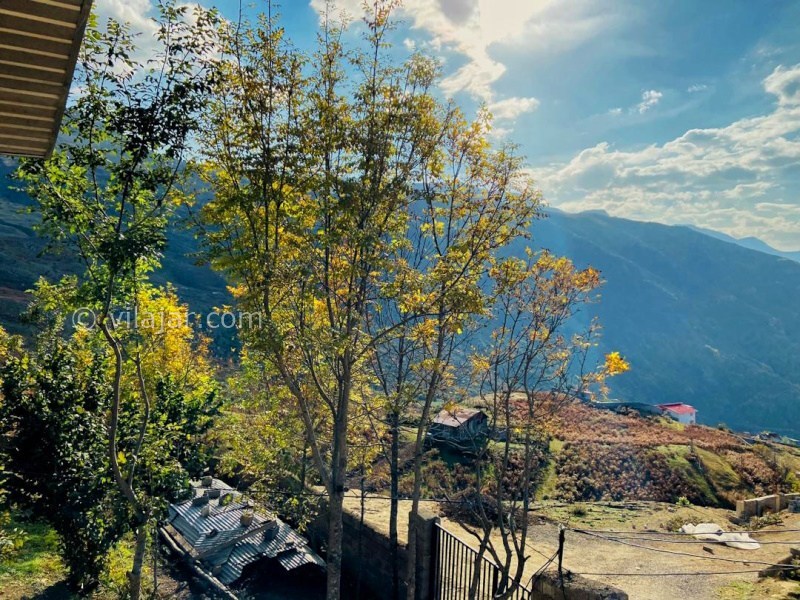 عکس شماره 873699 - اجاره ویلا در فیلبند جنگل ابر - 