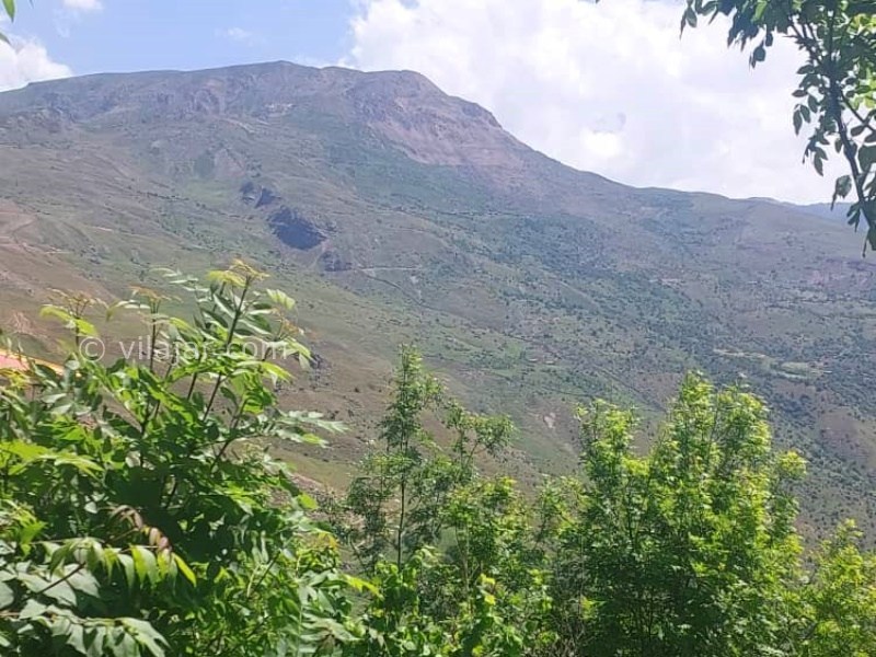 عکس شماره 873700 - اجاره ویلا در فیلبند جنگل ابر - 