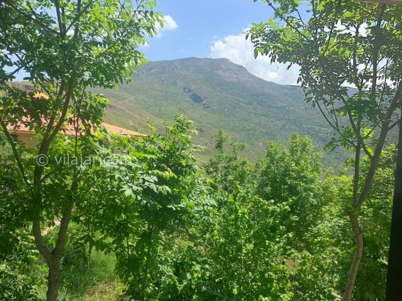 عکس شماره 873701 - اجاره ویلا در فیلبند جنگل ابر - 