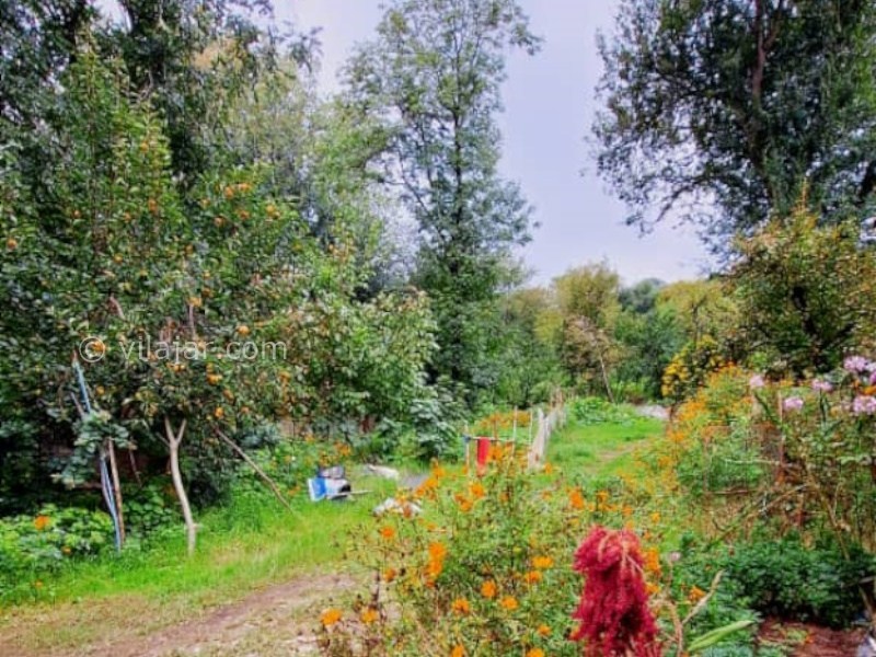 عکس شماره 873737 - اجاره خانه روستایی جنگلی در ماسال - 