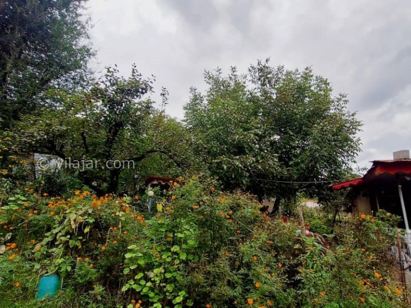 عکس شماره 873738 - اجاره خانه روستایی جنگلی در ماسال - 