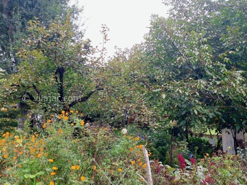 عکس شماره 873739 - اجاره خانه روستایی جنگلی در ماسال - 