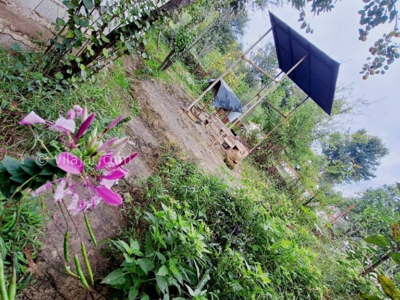 عکس شماره 873745 - اجاره خانه روستایی جنگلی در ماسال - 