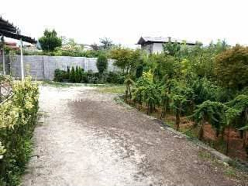 عکس شماره 873754 - اجاره ویلا در شیرود -