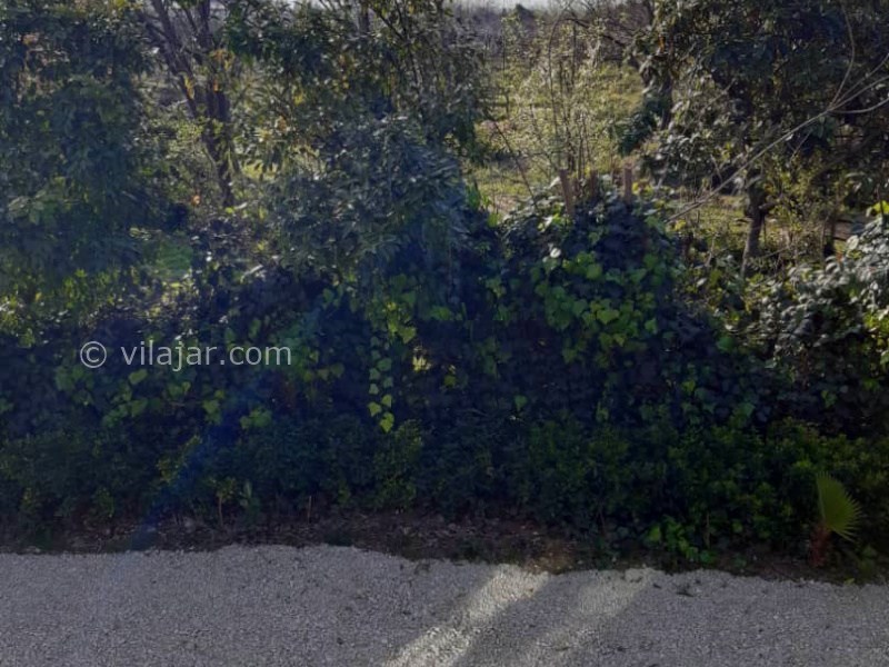 عکس شماره 873910 - اجاره ویلا در تنکابن نزدیک جنگل - 