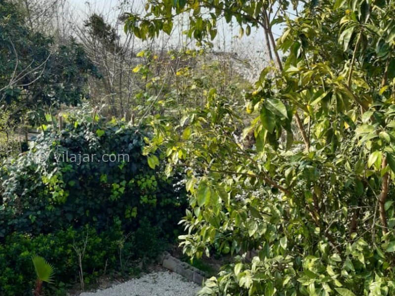 عکس شماره 873912 - اجاره ویلا در تنکابن نزدیک جنگل - 