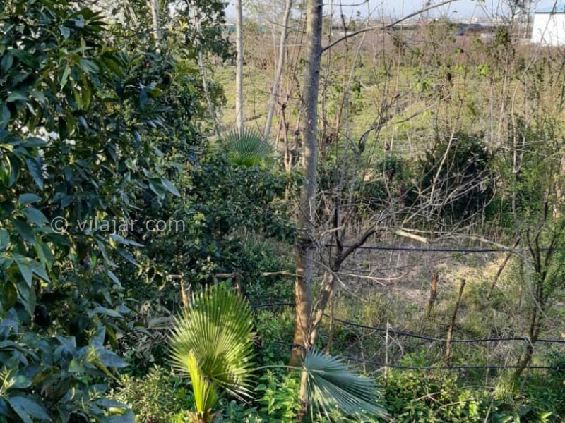 عکس شماره 873913 - اجاره ویلا در تنکابن نزدیک جنگل - 