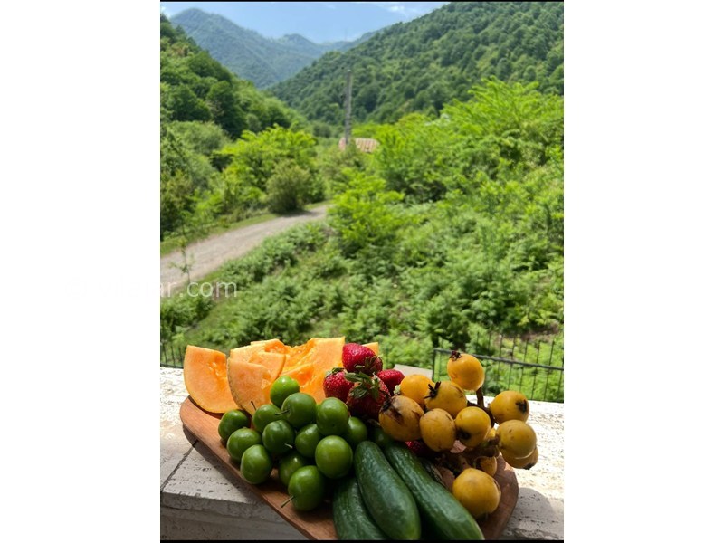 عکس شماره 873968 - اجاره ویلا جنگلی در ماسال شالما - 