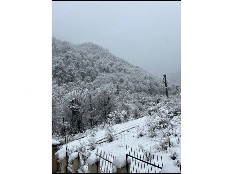 عکس شماره 873973 - اجاره ویلا جنگلی در ماسال شالما - 